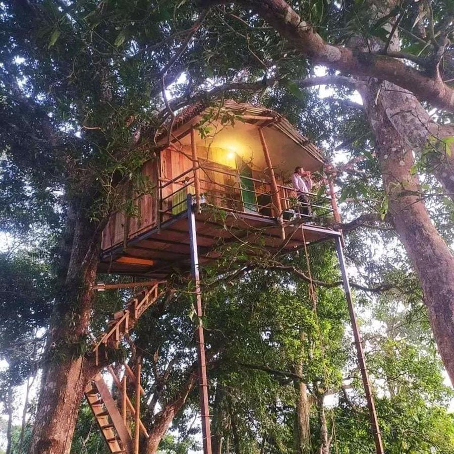 Pemsee'S Tree Town Sauraha Chambre photo