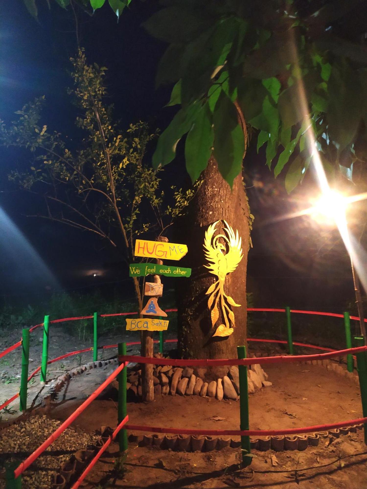 Pemsee'S Tree Town Sauraha Extérieur photo